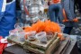 Thumbs/tn_Koningsdag 2022 226.jpg